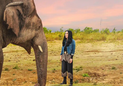 Cher és a világ legmagányosabb elefántja