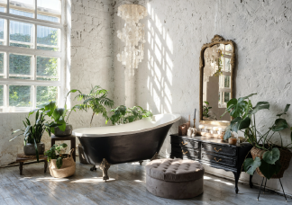 A legjobb fürdőszobai növények, amik imádják a párás környezetet