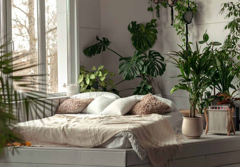 Növények a hálóba? Még az alvásodon is javíthatnak!