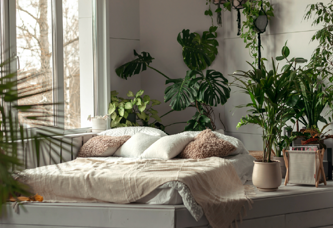 Növények a hálóba? Még az alvásodon is javíthatnak!