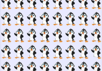 Csak a legmagasabb IQ-jú emberek találják meg 10 mp alatt a különc pingvint