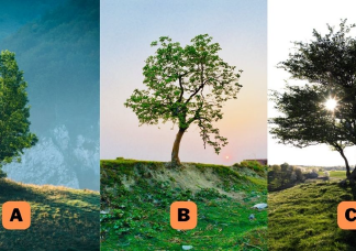 Melyik fát választod? Elárulja, mennyire élsz a múltban
